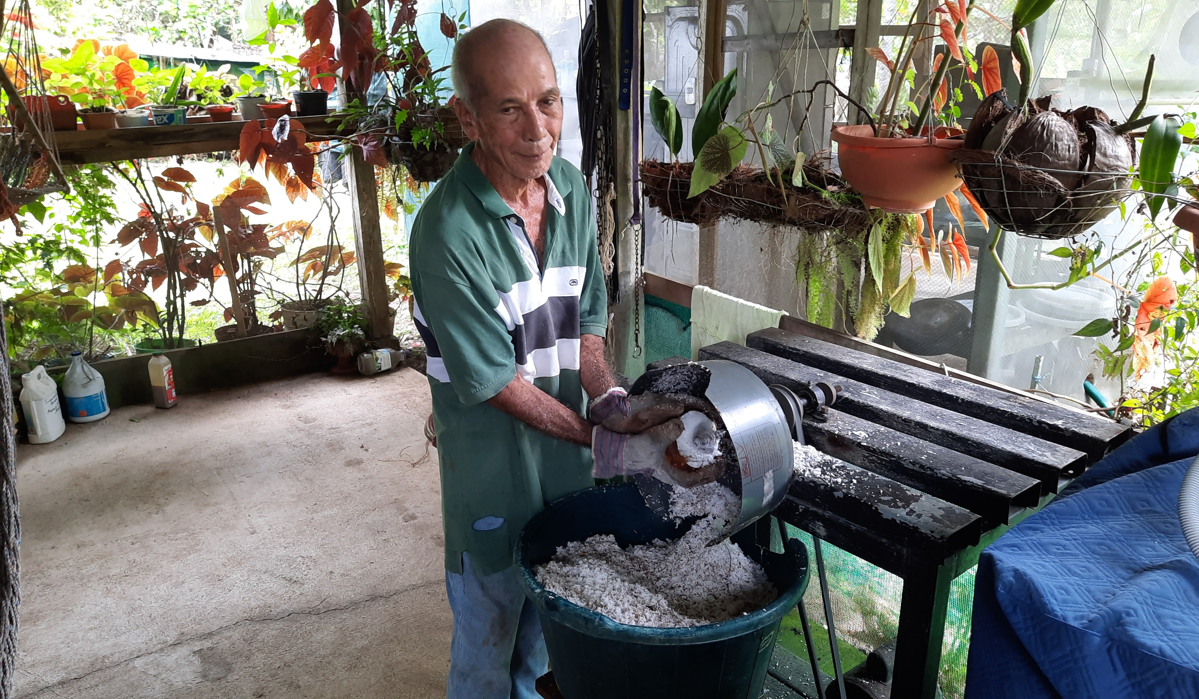 Production at Finca La Aurora