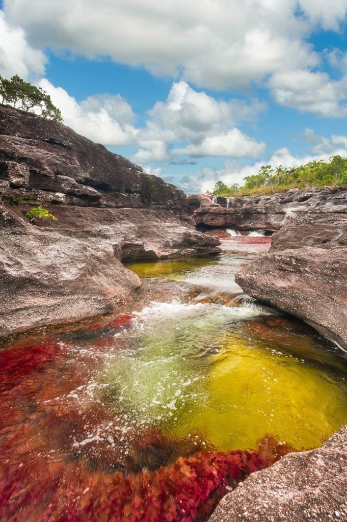 Cano-Cristales-canon-en-el-sector-Los-Ochos-681x1024-1