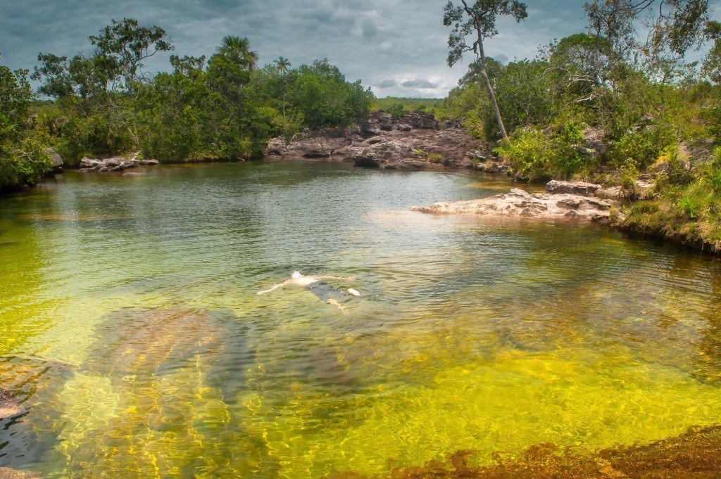 Cano-Cristales-nadar-es-posible-1024x681-1