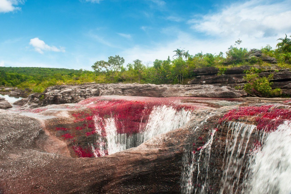 Cano-Cristales-sector-Los-Ochos-Colombia-1024x681
